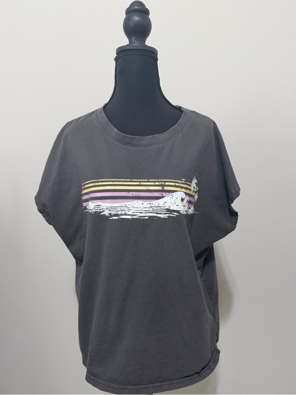 C&C California Charcoal Sunwashed Graphic Tee